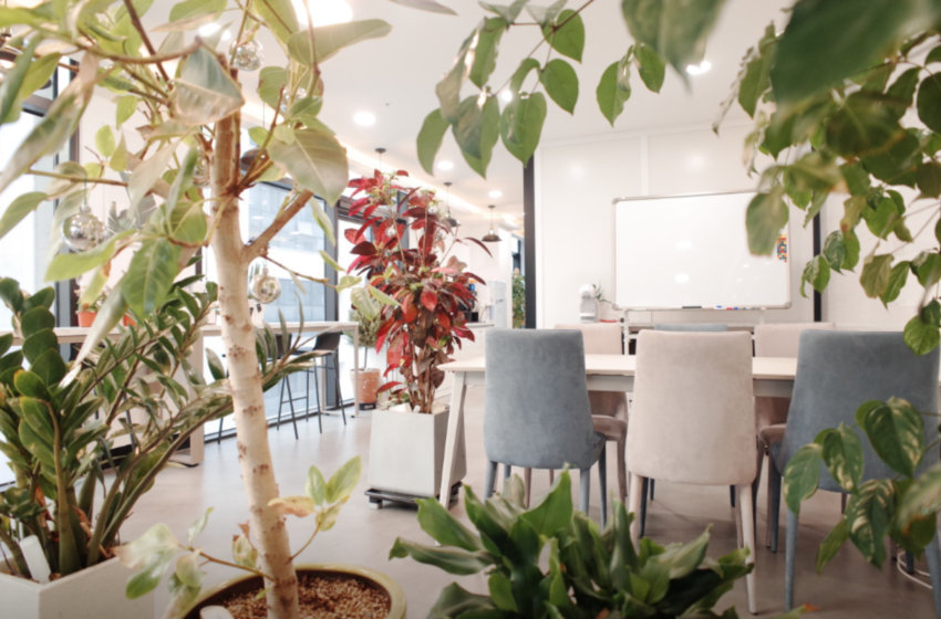 코워킹 스페이스